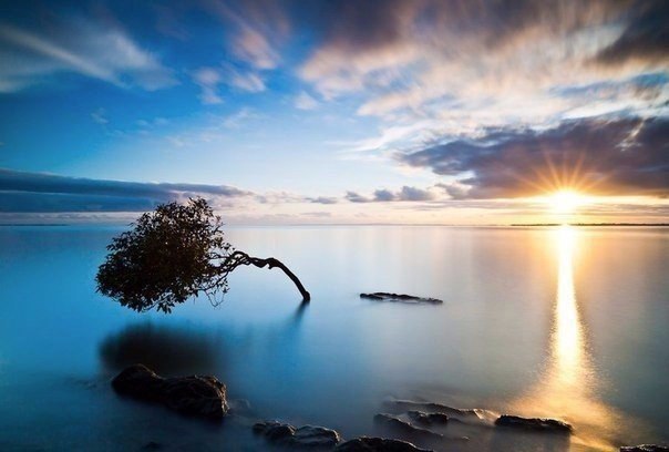    , .#@travel.blog