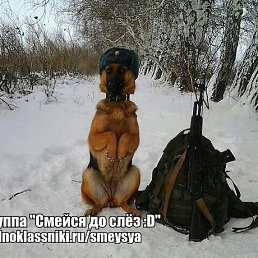 ���� David, �������, 37 ��� - ��������� 20 ������ 2016