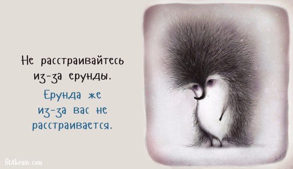    - 15  2016  10:34
