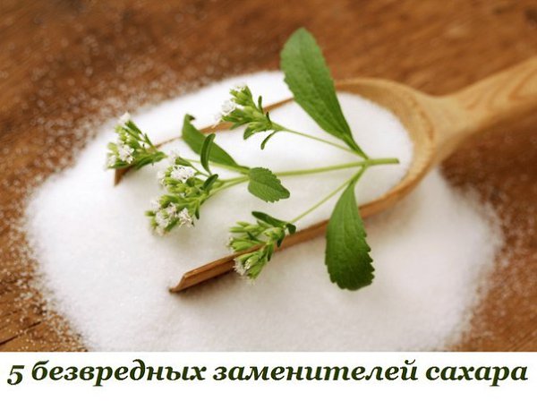 5 безвредных заменителей сахара.1. СтевияЭто растение-многолетник из семейства астровых называют ...