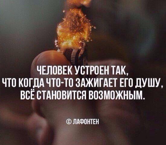 BEST | , ,  - 11  2015  19:01
