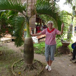 �����, ����-���������, 69 ���