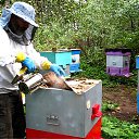 ���� ������, ������� �������� - ��������� 24 ������� 2015