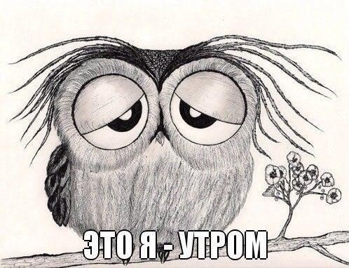     - 31  2015  19:40