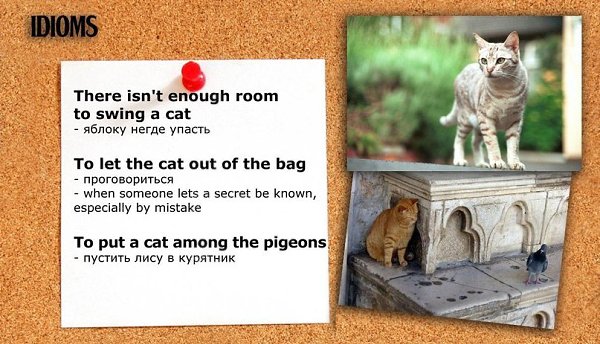  | English for everyone - 26  2015  19:08 - 3