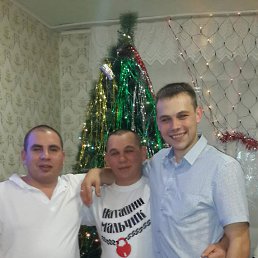 ���� �����, �������� - ��������� 14 ������ 2016