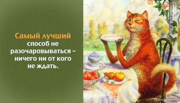  - 7  2015  20:11