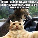 ���� ����, ��������, 46 ��� - ��������� 15 ������� 2015 � ������ ���� ����������