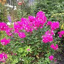 ���� �����, ������ - ��������� 1 ����� 2016 � ������ ���� ����������