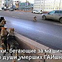 ���� ����, ������, 54 ���� - ��������� 22 ������� 2016 � ������ �������������