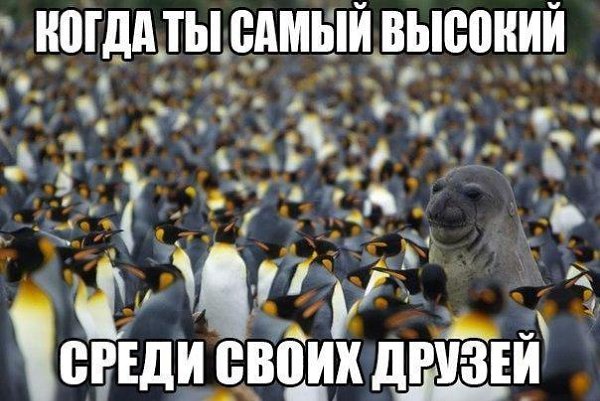     - 23  2015  09:07