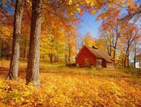 ...����� ��� ����� �������� ��� � ������� - 4