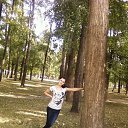 ���� �����, �����������, 34 ���� - ��������� 29 ������� 2015 � ������ ���� ����������