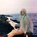  Mari,  -  4  2016   