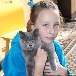 �����, ��������, 22 ����