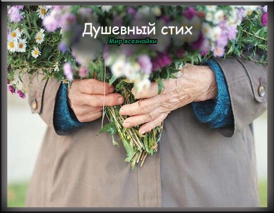 Душевный стих.Дождливое утро.Спешу на работу. Немножко ругаю сегодня погоду. Цветы продают. ...