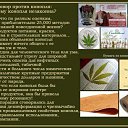 ���� ������, ������, 41 ��� - ��������� 26 ������� 2015 � ������ ������ ��������