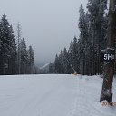 ���� Z ����, �������, 70 ��� - ��������� 7 ����� 2016 � ������ ���� ����������