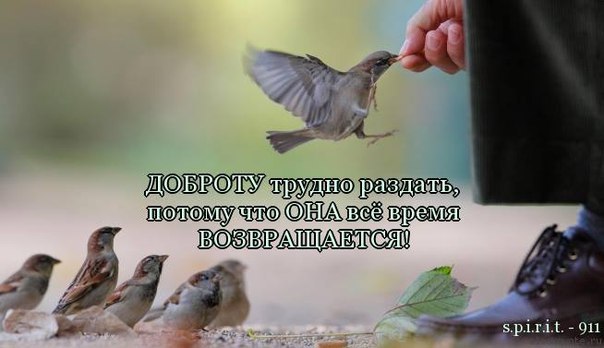   <a href=