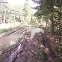 ���� ������, ����������-���������, 44 ���� - ��������� 31 ������� 2015 � ������ ����������