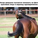 ���� ������, ������, 47 ��� - ��������� 1 ������� 2015 � ������ ���� ����������