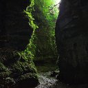 ���� Sheriff, ������� - ��������� 25 �������� 2015 � ������ ���� ����������