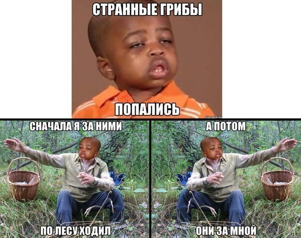    :D - 12  2015  13:09