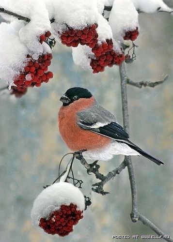   - 19  2015  10:04 - 2