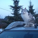 ���� ������, ������, 67 ��� - ��������� 27 �������� 2015 � ������ ������ ��������