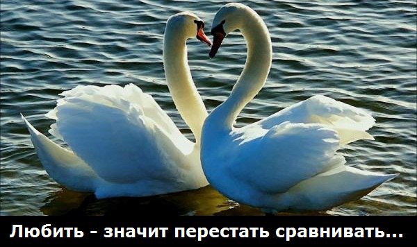 � ����� ���� - 26 ������ 2015 � 11:41