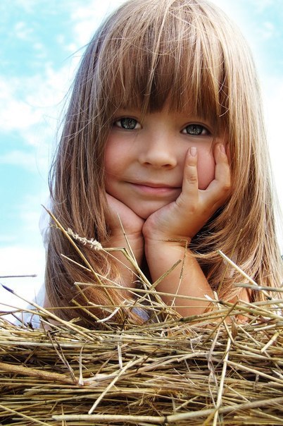    ,     .       ... - 3