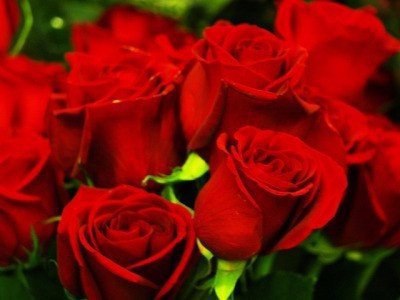 Если вы любите, а вас нет — отпустите. Если вас любят, а вы нет — оцените и присмотритесь. Если ... - 2