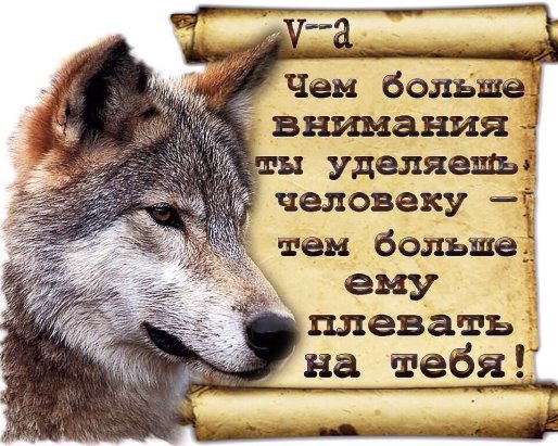 ***Victoria Viktorovna*** - 17  2016  16:38