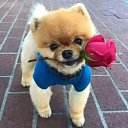  Vidmantas, , 52  -  1  2016    