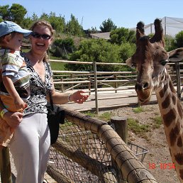 �����, ������