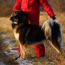 ���� �����, ��������, 60 ��� - ��������� 2 ������� 2015 � ������ �������� �����)�