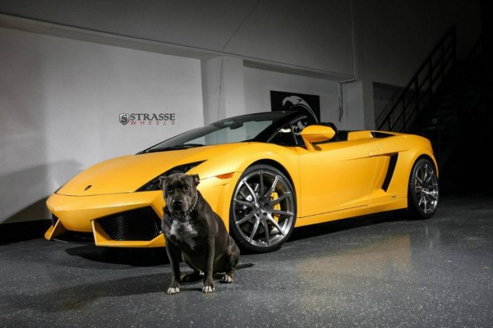 I Love Cars - 20  2015  20:49