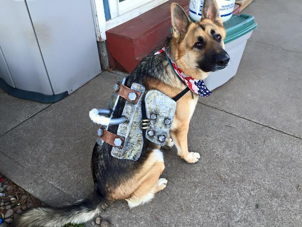   Fallout 4 - 2