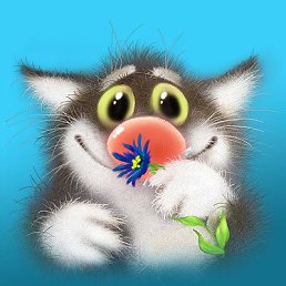 ���� �����, ���������, 41 ��� - ��������� 19 ������� 2015