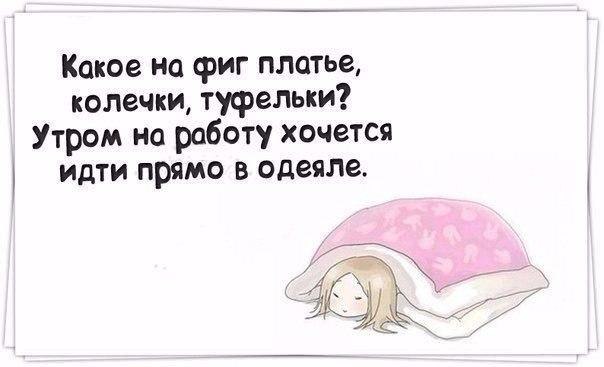    - 17  2015  15:10