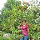 ���� �������, ����������� - ��������� 2 ������� 2015 � ������ ���� ����������