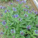 ���� �������, ��������, 66 ��� - ��������� 24 ������� 2015 � ������ ���� ����������