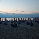  Svetlana, , 59  -  18  2015    2014 