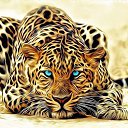 ���� Bepa, ������ - ��������� 3 ������� 2016 � ������ ���� ����������