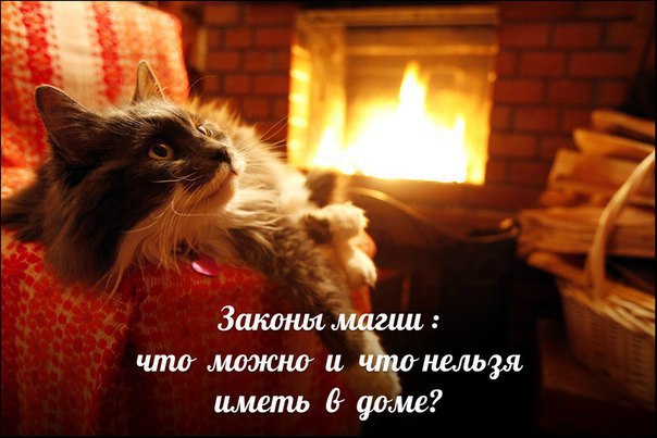 *** Законы магии — что можно и что нельзя иметь в доме. Чтобы удача не отвернулась от вас, мало ...