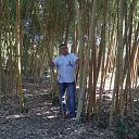 ���� ����, ���������, 63 ���� - ��������� 1 ������� 2015 � ������ ������ ��������