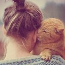 ���� �������, ������� - ��������� 14 ������ 2016 � ������ ���� ����������