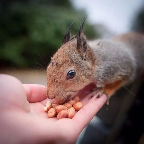  ,  .#animal@travel.blog - 8