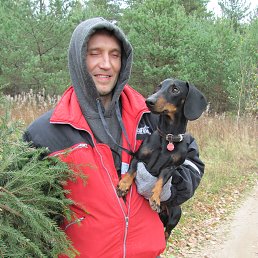 ���� �������, �����-��������� - ��������� 15 ������� 2015