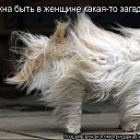���� ������, ������� - ��������� 27 �������� 2015 � ������ ������ ��������